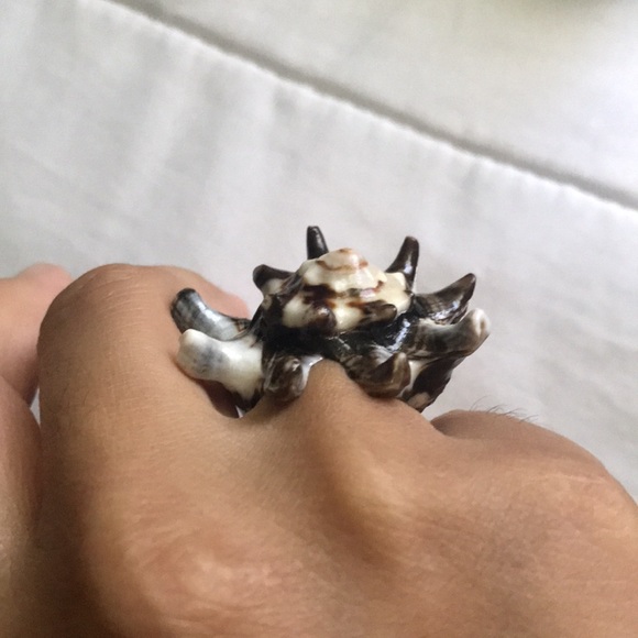 Authentic sea shell ring - Picture 9 of 10